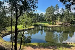 2609 E Pine Island Ln, Payson, AZ 85541 - Photo 47