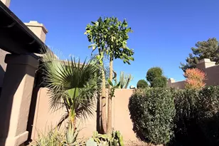 11631 N 41st St, Phoenix, AZ 85028 - Photo 51