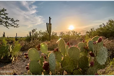 6505 E Old Paint Trail, Carefree, AZ 85377 - Photo 13