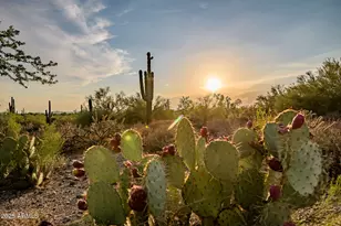 6505 E Old Paint Trail, Carefree, AZ 85377 - Photo 13