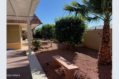9429 W Rolling Hills Drive, Sun City, AZ 85351 - Photo 29