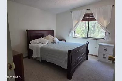 115 S Young Road, Payson, AZ 85541 - Photo 9