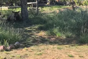 602 N Easy St, Payson, AZ 85541 - Photo 17