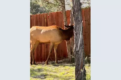 602 N Easy Street #C, Payson, AZ 85541 - Photo 15