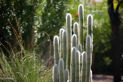 12519 W Palo Brea Lane, Peoria, AZ 85383 - Photo 31