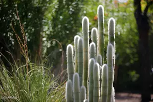 12519 W Palo Brea Ln, Peoria, AZ 85383 - Photo 31