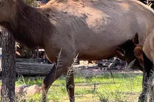 606 N Easy St, Payson, AZ 85541 - Photo 25