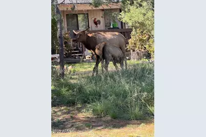 606 N Easy Street #D, Payson, AZ 85541 - Photo 23