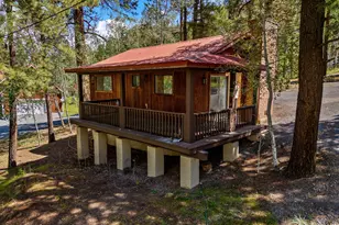 61 County Road 1121 --, Greer, AZ 85927 - Photo 53