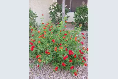 9990 N Scottsdale Road #3025, Paradise Valley, AZ 85253 - Photo 23