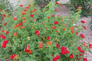 9990 N Scottsdale Rd, Paradise Valley, AZ 85253 - Photo 23