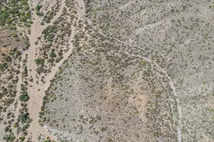 8560 E Father Kino Trail, Carefree, AZ 85377 - Photo 5