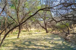 0000 E Willow Point Rd, Cornville, AZ 86325 - Photo 9