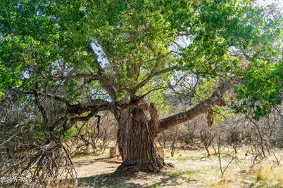 0000 E Willow Point Road #-, Cornville, AZ 86325 - Photo 7