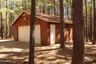 659 Mule Springs Trail, Forest Lakes, AZ 85931 - Photo 5