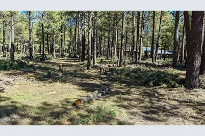 1960 Merryland Road #233, Forest Lakes, AZ 85931 - Photo 7