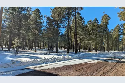 1960 Merryland Road #233, Forest Lakes, AZ 85931 - Photo 3