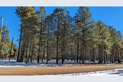1019 Merzville Road #234, Forest Lakes, AZ 85931 - Photo 5