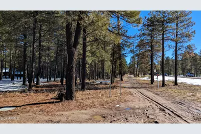 1019 Merzville Road #234, Forest Lakes, AZ 85931 - Photo 7