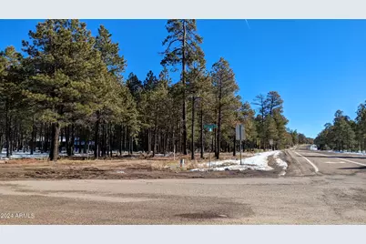 1019 Merzville Road #234, Forest Lakes, AZ 85931 - Photo 3