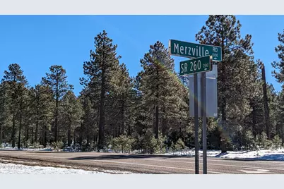 1019 Merzville Road #234, Forest Lakes, AZ 85931 - Photo 1