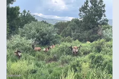 15 N3479 --, Vernon, AZ 85940 - Photo 1