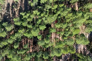 370 N Coyote Trl, Payson, AZ 85541 - Photo 41