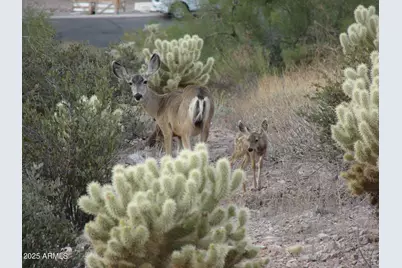 8160 E Canyon Estates Circle, Gold Canyon, AZ 85118 - Photo 35