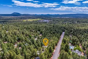 4956 Blue Spruce Ln, Lakeside, AZ 85929 - Photo 41