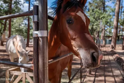 1659 Mormon Road, Happy Jack, AZ 86024 - Photo 39