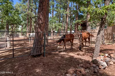 1659 Mormon Road, Happy Jack, AZ 86024 - Photo 35