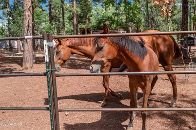 1659 Mormon Road, Happy Jack, AZ 86024 - Photo 37