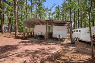 1659 Mormon Rd, Happy Jack, AZ 86024 - Photo 27