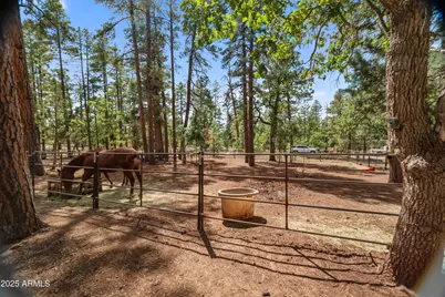 1659 Mormon Road, Happy Jack, AZ 86024 - Photo 33