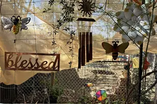 9097 N Montie Ave, McNeal, AZ 85617 - Photo 43