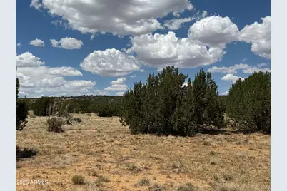 77 Co Rd 8020 -- #393, Concho, AZ 85924 - Photo 1