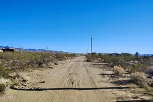 15613 N Flores Dr, Dolan Springs, AZ 86441 - Photo 3