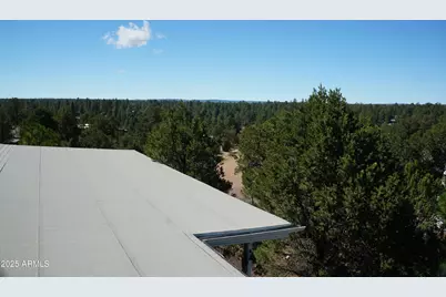 1988 Bradley Lane, Overgaard, AZ 85933 - Photo 41