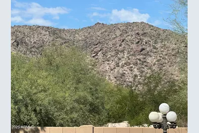 3332 E Cherokee Street, Phoenix, AZ 85044 - Photo 47