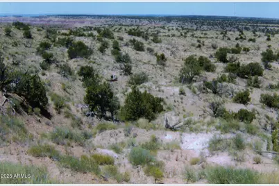 000 N6315 -- #115, Saint Johns, AZ 85936 - Photo 3