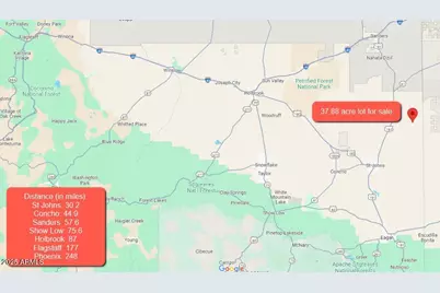000 N6315 -- #115, Saint Johns, AZ 85936 - Photo 9