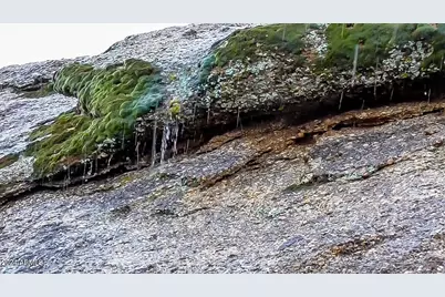 27777 N 95th Street #1, Scottsdale, AZ 85262 - Photo 23