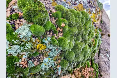 27777 N 95th Street #1, Scottsdale, AZ 85262 - Photo 21