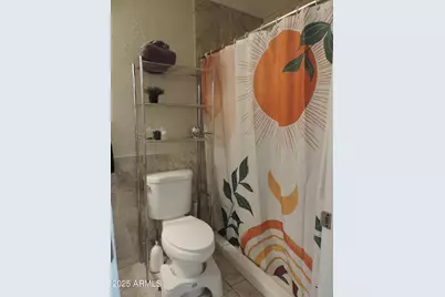 764 N Thunderbird Drive, Apache Junction, AZ 85120 - Photo 39