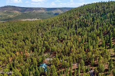 26 Cr -- N #1068, Greer, AZ 85927 - Photo 39