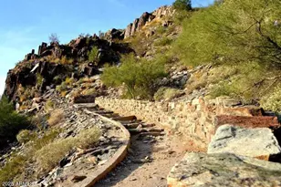 4108 E Edgemont Ave, Phoenix, AZ 85008 - Photo 65