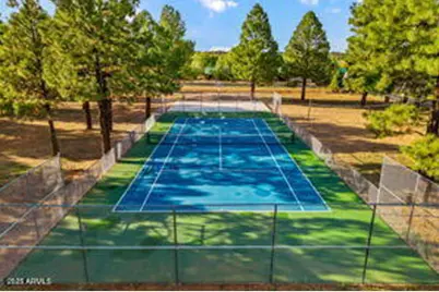 2670 Lodge Loop, Overgaard, AZ 85933 - Photo 25