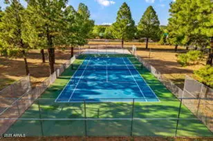 2670 Lodge Loop, Overgaard, AZ 85933 - Photo 25