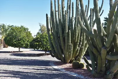17409 N Conquistador Drive, Sun City West, AZ 85375 - Photo 19