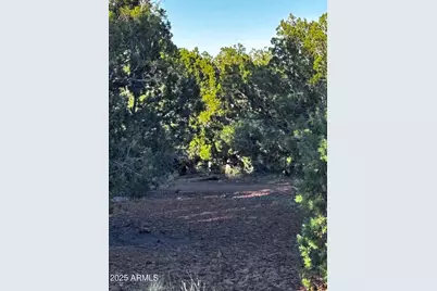 0 Soaring Hawk -- #498, Seligman, AZ 86337 - Photo 5